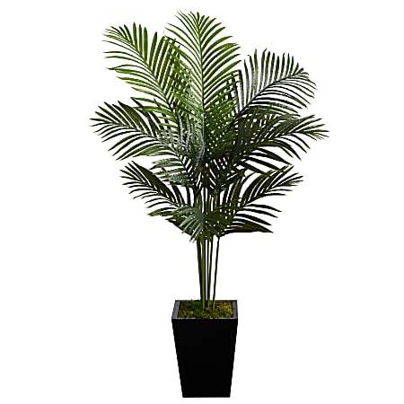 Nearly Natural Paradise Palm 60”H Artificial Plant With Metal Planter, 60”H x 35”W x 27”D, Green/Black