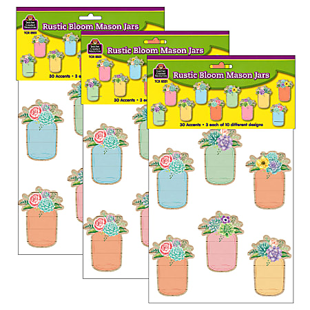 Teacher Created Resources Accents, Rustic Bloom Mason Jars, 30 Pieces Per Pack, Set Of 3 Packs