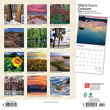 2024 Brown Trout Monthly Square Wall Calendar, 12" x 12", Delaware Wild