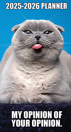 2025 Willow Creek Press 2-Year Monthly Checkbook/Calendar, 3-1/2” x 6-1/2”, Cat-astrophe (Cat Humor), January 2025 To December 2026, 46906