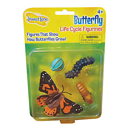Insect Lore Butterfly Life Cycle Stages, Pre-K -