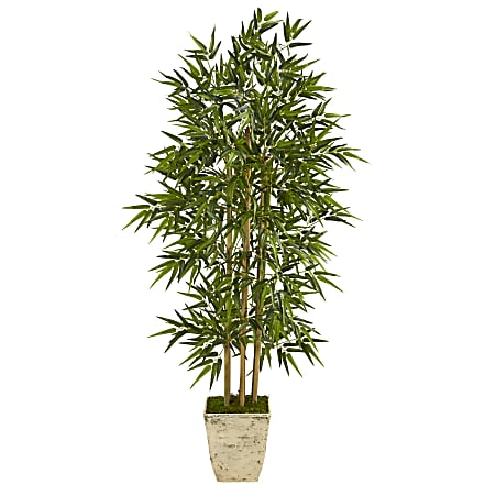 Nearly Natural Bamboo Tree 65”H Artificial Plant With Planter, 64”H x 10”W x 10”D, Green/Country White