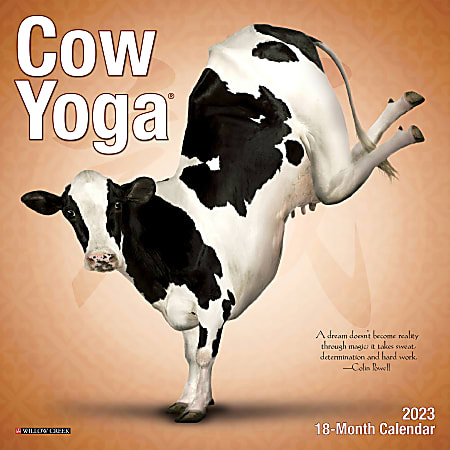 Willow Creek Press Monthly Mini Wall Calendar, 7" x 7", Cow Yoga, January to December 2023, 28445