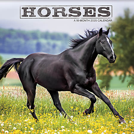 2025 DateWorks Monthly Wall Calendar, 12" x 12", Horses, January To December