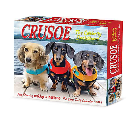 2024 Willow Creek Press Page-A-Day Daily Desk Calendar, 5" x 6", Crusoe the Dachshund, January To December