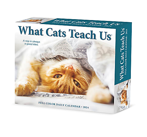 2024 Willow Creek Press Page-A-Day Daily Desk Calendar, 5" x 6", What Cats Teach Us, January To December