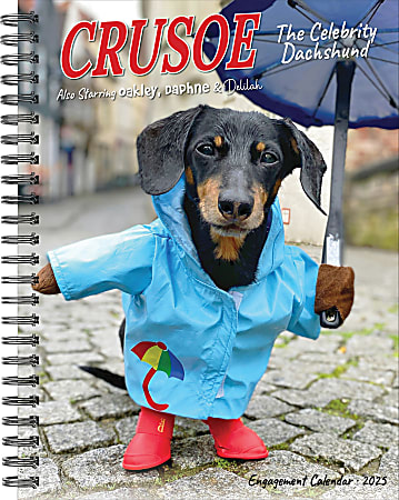 2025 Willow Creek Press Weekly Engagement Planner, 6-1/2" x 8-1/2", Crusoe, January 2025 to December 2025, 46111