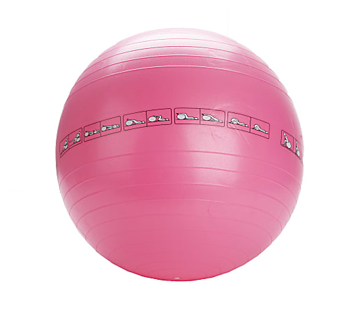 Mind Reader 65 cm Yoga Ball With Exercises, Pink