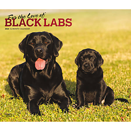 2024 BrownTrout Monthly Deluxe Wall Calendar, 14" x 12", For the Love of Black Labrador Retrievers, January to December