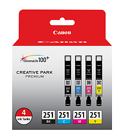 Canon® CLI-251 Black And Cyan, Magenta, Yellow Ink Cartridges, Pack Of 4, 6513B004