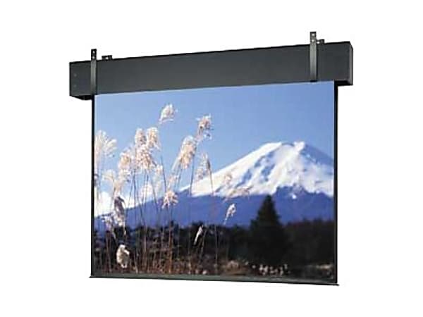 Da-Lite Professional Electrol Projection Screen, Matte White, 81622