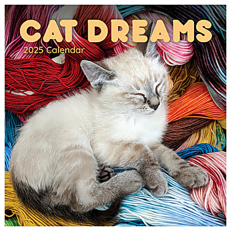 2025 TF Publishing Animals Wall Calendar, 12" x 12", Cat Dreams, January To December