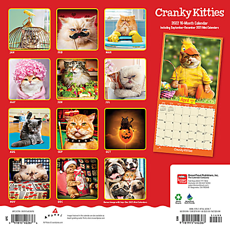 Brown Trout Animal Monthly Wall Calendar 12 x 12 Cranky Kitties January ...