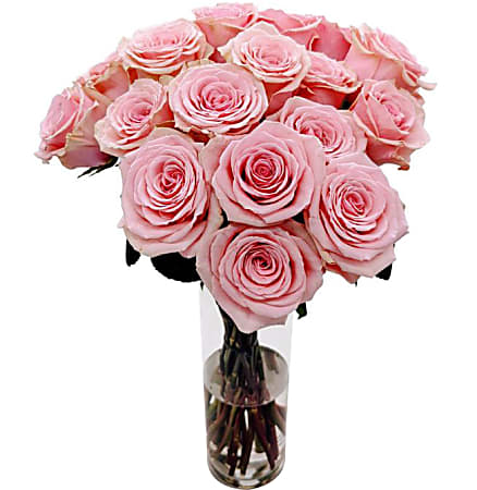 Rose Farmers Pink Passion Long Stem Roses, Pink, Box Of 24 Roses