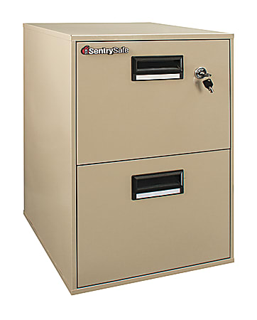 Sentry®Safe Vertical Fire- And Water-Resistant File Cabinet, 2 Drawers, 27 3/4"H x 18 1/4"W x 21"D, Putty