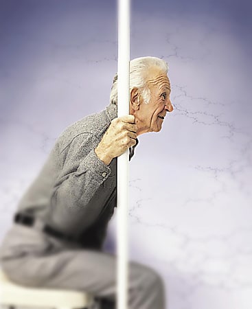 Guardian Safe-T-Pole Replacement Pole, White