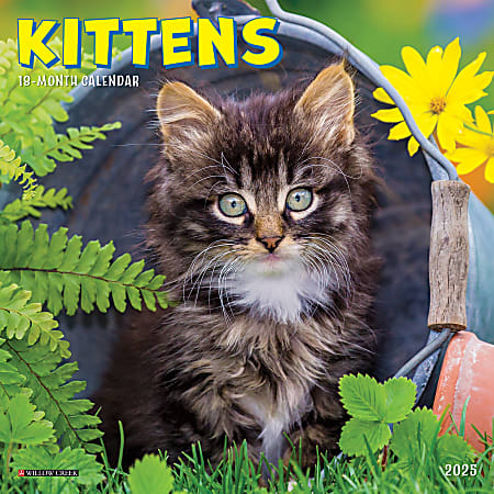 2025 Willow Creek Press Mini Wall Calendar, 7” x 7”, Kittens, January 2025 To December 2025, 45848