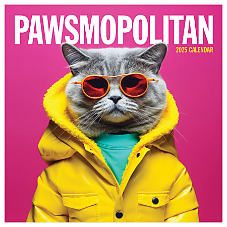 2025 TF Publishing Humor Wall Calendar, 12" x 12", Pawsmopolitan, January To December