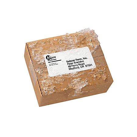 Avery® WeatherProof Mailing Labels With TrueBlock Technology,