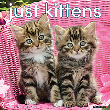 2026 Willow Creek Press Animals Monthly Wall Calendar, 12" x 12", Kittens, January To December, 51696