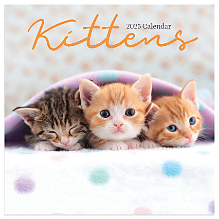 2025 TF Publishing Animals Mini Calendar, 7" x 7", Kittens, January To December