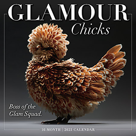 2025 Sellers Publishing Wall Calendar, 12” x 12”, Glamour Chicks, September To December