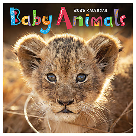 2025 TF Publishing Monthly Wall Calendar, 12” x 12”, Baby Animals, January 2025 To December 2025