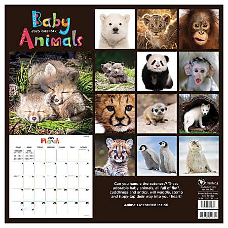 2025 TF Publishing Monthly Wall Calendar 12 x 12 Baby