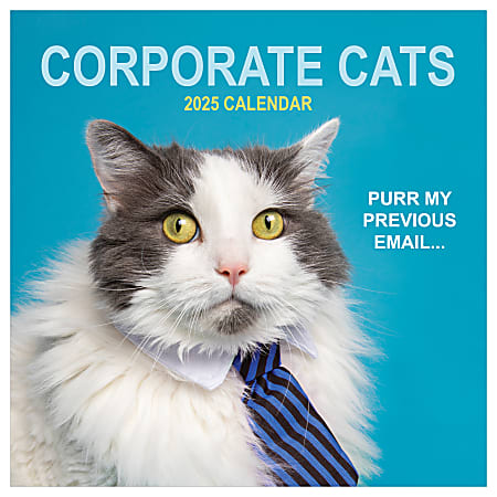 2025 TF Publishing Monthly Wall Calendar, 12” x 12”, Corporate Cats, January 2025 To December 2025