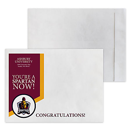 Zip Stick®,  White DuPont™ Tyvek® Open End Catalog Mailing Envelopes, Full-Color, Custom 10" x 13", Box Of 500