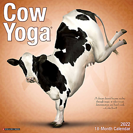 Willow Creek Press Animals Monthly Wall Calendar, 12" x 12", Cow Yoga, January to December 2022, 17661