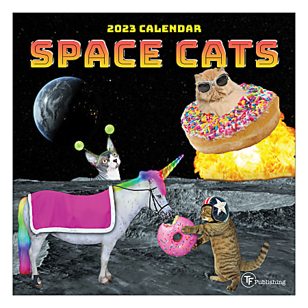 TF Publishing Humor Mini Monthly Wall Calendar, 7" x 7", Space Cats, January To December 2023