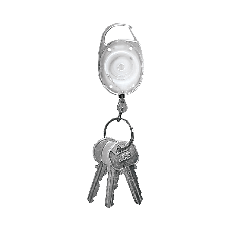 Carabiner for Keys. Key Chain with Ring Stock Photo - Image of