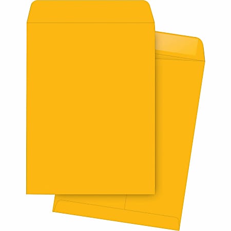 Business Source Kraft Gummed Catalog Envelopes - Catalog