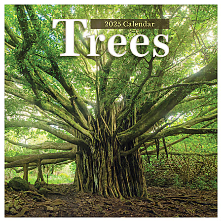 2025 TF Publishing Monthly Wall Calendar, 12” x 12”, Trees, January 2025 To December 2025