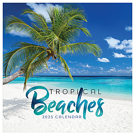 2025 TF Publishing Monthly Wall Calendar, 12” x 12”, Tropical Beaches, January 2025 To December 2025