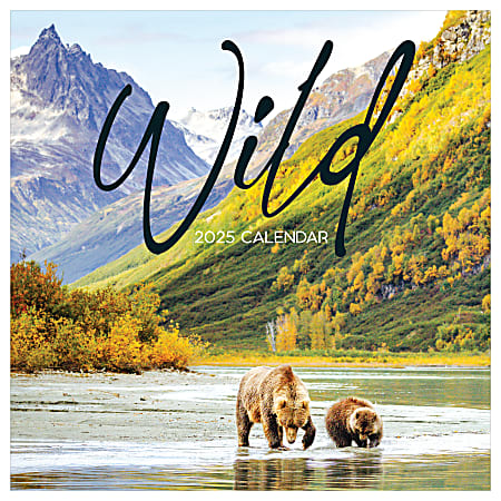 2025 TF Publishing Monthly Wall Calendar, 12” x 12”, Wild, January 2025 To December 2025