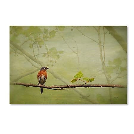 Trademark Global Bluebird In Spring Gallery-Wrapped Canvas Print By Lois Bryan, 22"H x 32"W