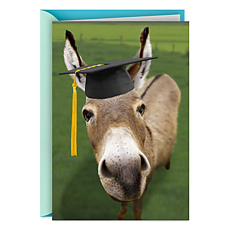 Hallmark Shoebox Funny Graduation Card (Congratulations, Smartass)