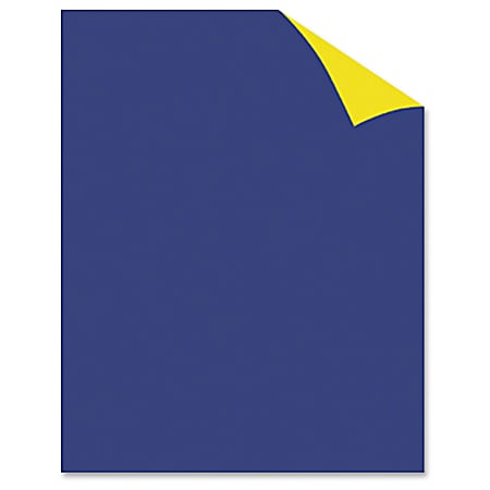 Geographics Two Color Posterboard - 25 Piece(s) - 22" x 28" - 25 / Carton - Blue, Yellow