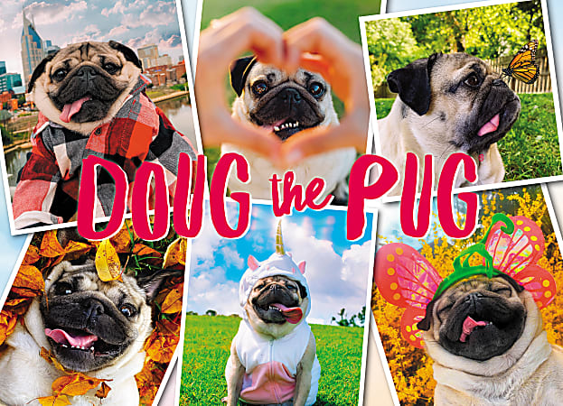 Willow Creek Press 1000 Piece Puzzle Doug the Pug Office Depot