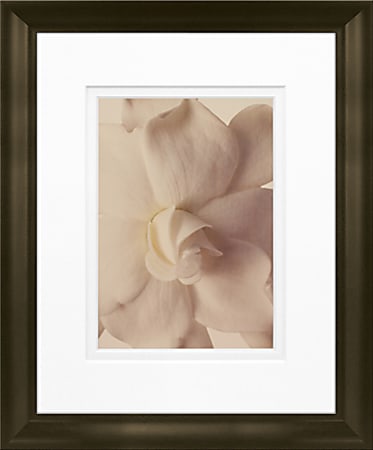 Timeless Frames Marren Espresso-Framed Floral Artwork, 8" x 10", Gardenia In Bloom