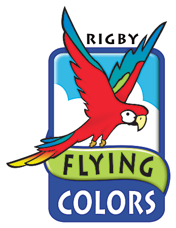 Rigby Flying Colors Mini Bookroom Kit, Levels I-L, Grade 1, 6 Sets Of 16 Titles