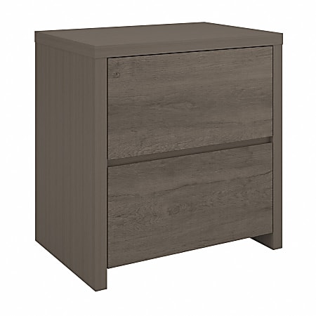 Bush Furniture Bristol 2-Drawer Lateral File Cabinet, Restored Gray/Thread Gray, Standard Delivery