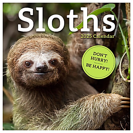 2025 TF Publishing Monthly Wall Calendar, 12” x 12”, Sloths, January 2025 To December 2025