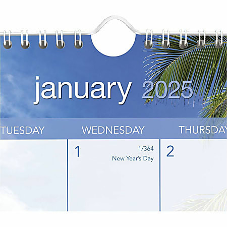 At-A-Glance Tropical Escape Wall Calendar - Medium Size - Julian Dates - Monthly - 12 Month - January 2024 - December 2024 - 1 Week, 1 Month Single Page Layout - 15