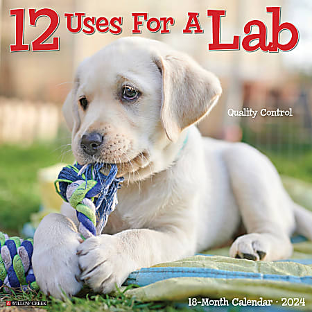 Willow Creek Press 2024 Animals Monthly Wall Calendar, 12" x 12", 12 Uses For A Lab, January To December