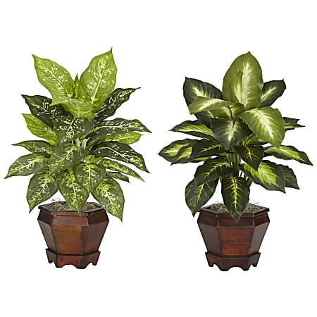 Nearly Natural 20 1/2"H Silk Dieffenbachia Plants With Wood Vase, Set Of 2
