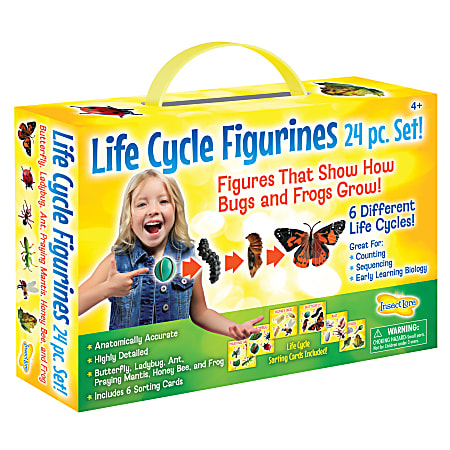 Insect Lore Life Cycle Figurines, Set Of 24 Figurines