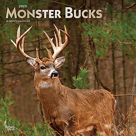 Brown Trout Animals Monthly Wall Calendar, 12" x 12", Monster Bucks, January To December 2023